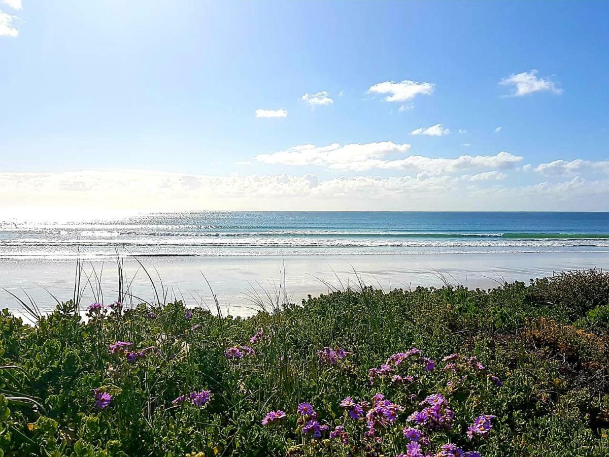 Oceans Guest House & Luxurious Apartments Struisbaai Zewnętrze zdjęcie